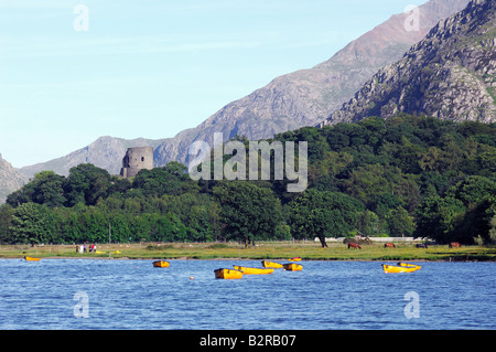 Sportboote auf Llyn Padarn in Llanberis der verfallenen Burg Dolbadarn steht auf dem Hügel hinter Stockfoto