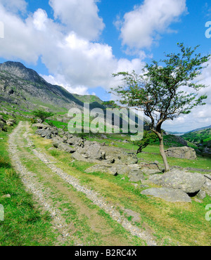 Feldweg in Llanberis Pass Blaen Y Nant zwischen Snowdon Mountain Range und Y Glyderau Stockfoto