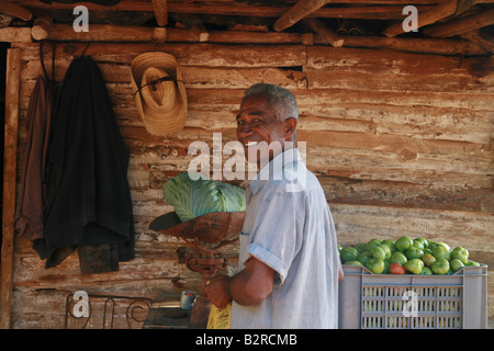 Gemüsehändler in Vinales-Pinar del Río Provinz Kuba Lateinamerika Stockfoto