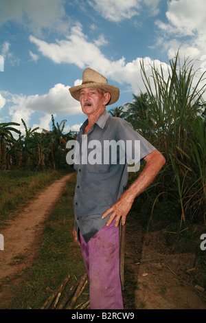 Alten Bauernhof Arbeiter in einem Zuckerrohr Gebiet Vinales Provinz Pinar del Río Kuba Lateinamerika Stockfoto