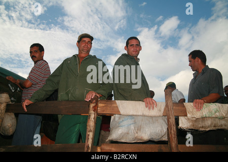 Arbeiter auf einem LKW in Vinales Provinz Pinar del Río Kuba Lateinamerika Stockfoto