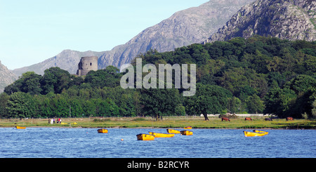 Sportboote auf Llyn Padarn in Llanberis der verfallenen Burg Dolbadarn steht auf dem Hügel hinter Stockfoto