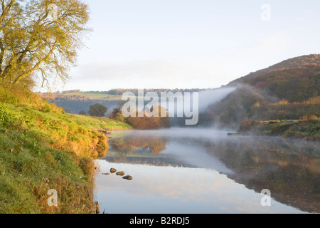 Frühen Morgennebel über River Wye Wye Valley, Monmouthshire, Wales mit Herbst-Farben an den Bäumen Deich Offas. Stockfoto