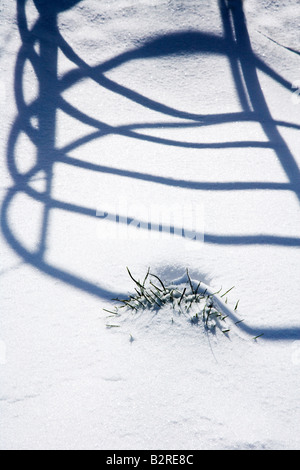 Schatten-Muster auf Schnee geworfen von einem schmiedeeisernen Tor küssen Stockfoto