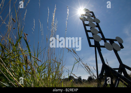 Der Buchstabe t steht in einem Feld von Waverley Abtei in der Nähe von Farnham Surrey. Stockfoto