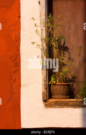 Detail der Mauer, Sao Tome, portugiesische Viertel, Panaji (Panjim), Goa, Indien, Subkontinent, Asien Stockfoto