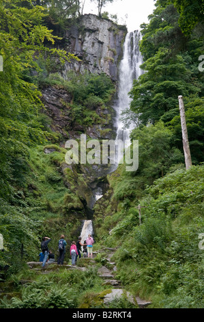 Pistyll Rhaeadr Wasserfall das höchste in Wales Llanrhaeadr Ym Mochnant Powys Wales UK Stockfoto