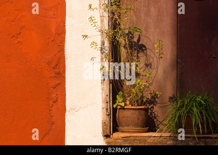 Detail der Mauer, Sao Tome, portugiesische Viertel, Panaji (Panjim), Goa, Indien, Subkontinent, Asien Stockfoto