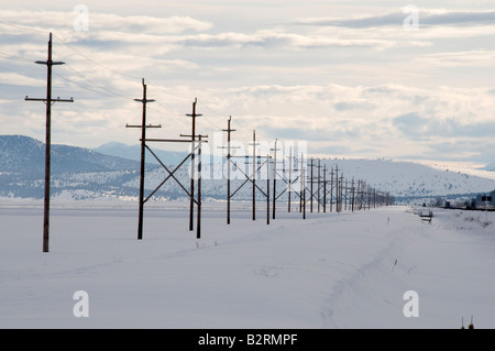 Schnee-Szene und Telefonmasten im winter Stockfoto