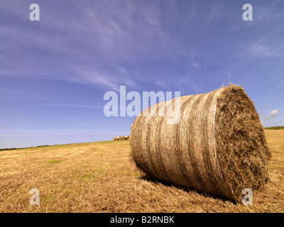 Heuballen in einem Stiubble Bereich gegen eine auffallende blaue Himmel Stockfoto