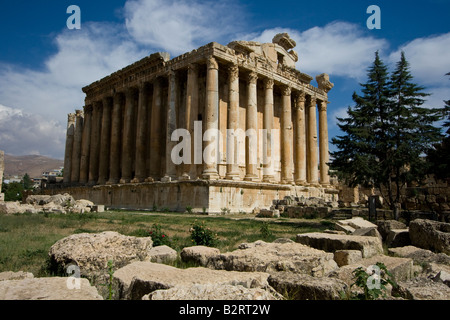 Tempel des Bacchus in den römischen Ruinen von Baalbek im Libanon Stockfoto