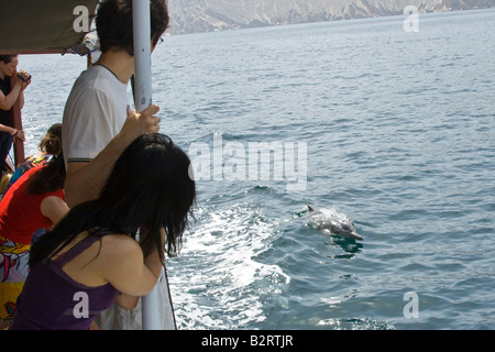 Touristen Delfine zu beobachten, während eine ganztägige Bootstour auf der Halbinsel Musandam im Oman Stockfoto