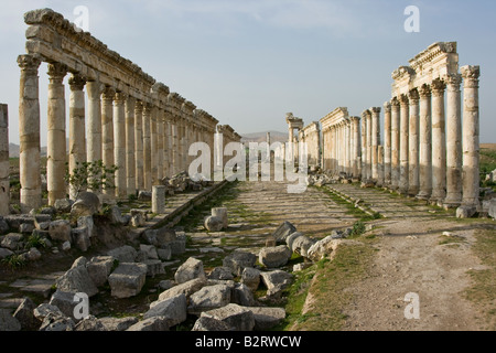 Römische Ruinen in Apameia Syrien Stockfoto