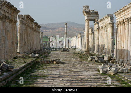 Honourific Spalte und Kolonnade auf die römischen Ruinen von Apameia Syrien Stockfoto