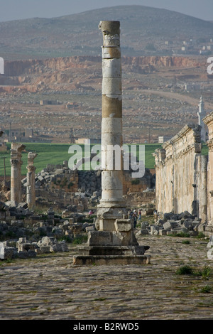 Honourific Spalte und Kolonnade auf die römischen Ruinen von Apameia Syrien Stockfoto