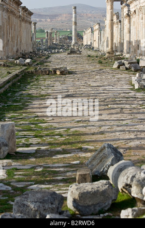 Honourific Spalte und Kolonnade auf die römischen Ruinen von Apameia Syrien Stockfoto