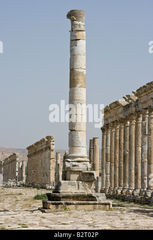 Monumentale Säule und Kolonnade auf die römischen Ruinen von Apameia in Syrien Stockfoto