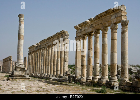 Monumentale Säule und Kolonnade auf die römischen Ruinen von Apameia in Syrien Stockfoto