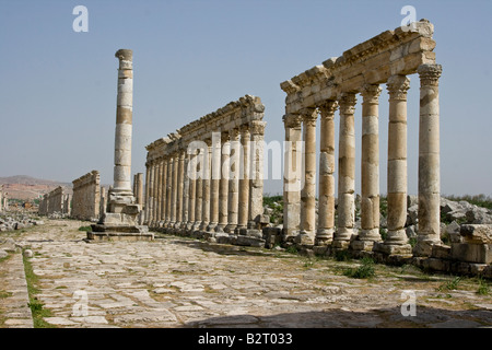 Monumentale Säule und Kolonnade auf die römischen Ruinen von Apameia in Syrien Stockfoto