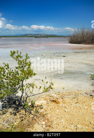 Las Salinas (Salinen) in der Nähe von Los Morrillos Leuchtturm an der Spitze weit Süd-West in der Nähe von Cabo Rojo, Puerto Rico. Stockfoto