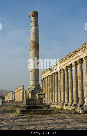 Monumentale Säule und Kolonnade auf die römischen Ruinen von Apameia in Syrien Stockfoto