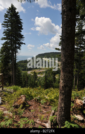 Fundy Trail Parkway entlang der Bay Of Fundy in New Brunswick, Kanada Stockfoto