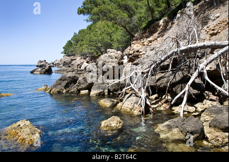 Küste bei Cala Tuent, Mallorca, Spanien Stockfoto