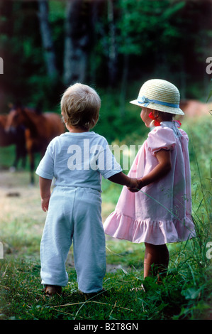 Jungen und Mädchen ca. 2-3 Jahre alt halten in Feld mit Pferden Schweden Hände im Sommer Stockfoto