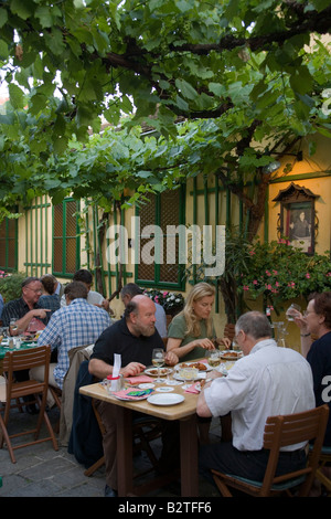 Gäste sitzen im Garten Heuriger Mayer bin Pfarrplatz, Heiligenstadt, Wien, Österreich Stockfoto