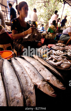 Markt Panaji, Goa, Indien, Subkontinent, Asien Stockfoto