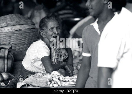 Markt Panaji, Goa, Indien, Subkontinent, Asien Stockfoto