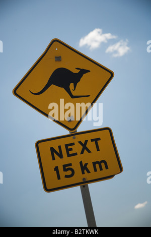 Nahaufnahme von Känguru Schild an der Ostküste von Autralia, gegen ein strahlend blauer Himmel. Stockfoto