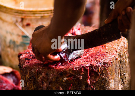 Markt Panaji, Goa, Indien, Subkontinent, Asien Stockfoto