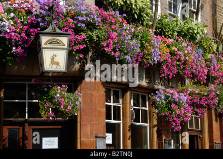 Außenseite des blauen Posts Pub in Berwick Street Soho London England Stockfoto