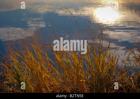 Die aufgehende Sonne und Morgen Himmel spiegelt sich in ein Kanal Blackwater National Wildlife Refuge Cambridge Stockfoto