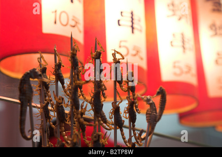 Wangfujing Nachtmarkt gastronomische Stände verkaufen exotische Snack Essen einschließlich Scorpions auf Stöcke in Peking, China. Stockfoto