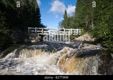 Aufgenommen am Parc National des Grands Jardins Stockfoto