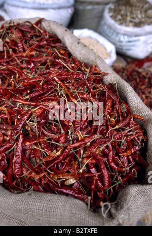 Chili Peppers, Markt, Kandy, Sri Lanka Stockfoto
