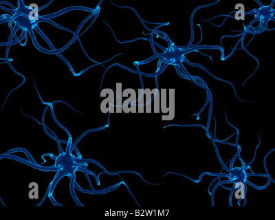 Neuron Zellen Stockfoto
