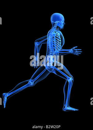 Running Man - Anatomie Stockfoto