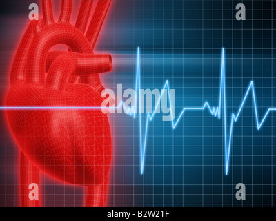 menschliches Herz Stockfoto