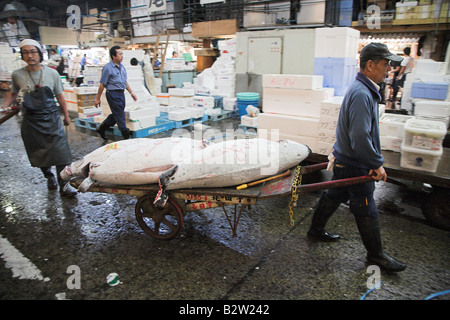 Japanische Arbeiter bewegen gefrorenen Thunfisch Tsukiji-Fischmarkt am frühen Morgen in Tokio. Stockfoto