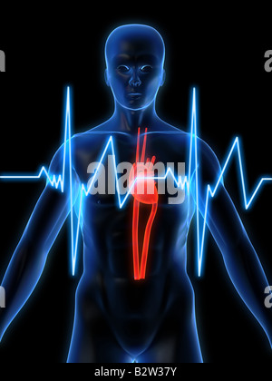 Herzschlag Stockfoto