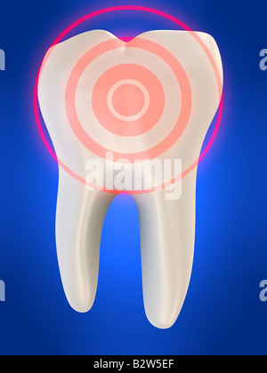 menschlichen Zahn Stockfoto
