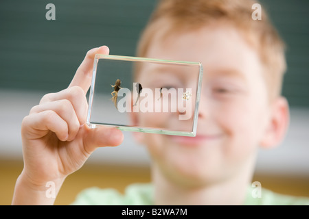 Junge mit Kaulquappe Phasen im Glas Stockfoto