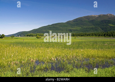 Swan River National Wildlife Refuge in der Nähe von Kalispell Montana Stockfoto