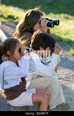 Hispanische Familie Wildbeobachtung mit dem Fernglas im Yellowstone-Nationalpark, Wyoming Stockfoto