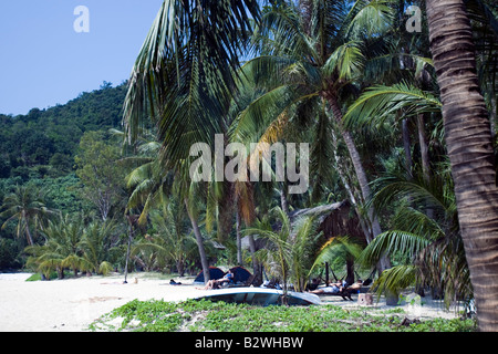 Palmen säumen weißen Sandstrand Cham Island vor historischen Hoi An Vietnam Stockfoto