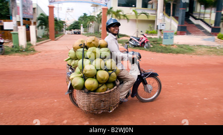 Mann fährt Kokosnuss beladenen Motorrad Insel Phu Quoc, Vietnam Stockfoto