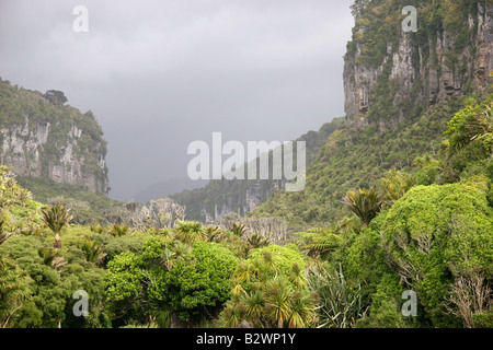 Pororari River Gorge im Paparoa National Park bei Punakaiki an der Westküste der Südinsel, Neuseeland Stockfoto